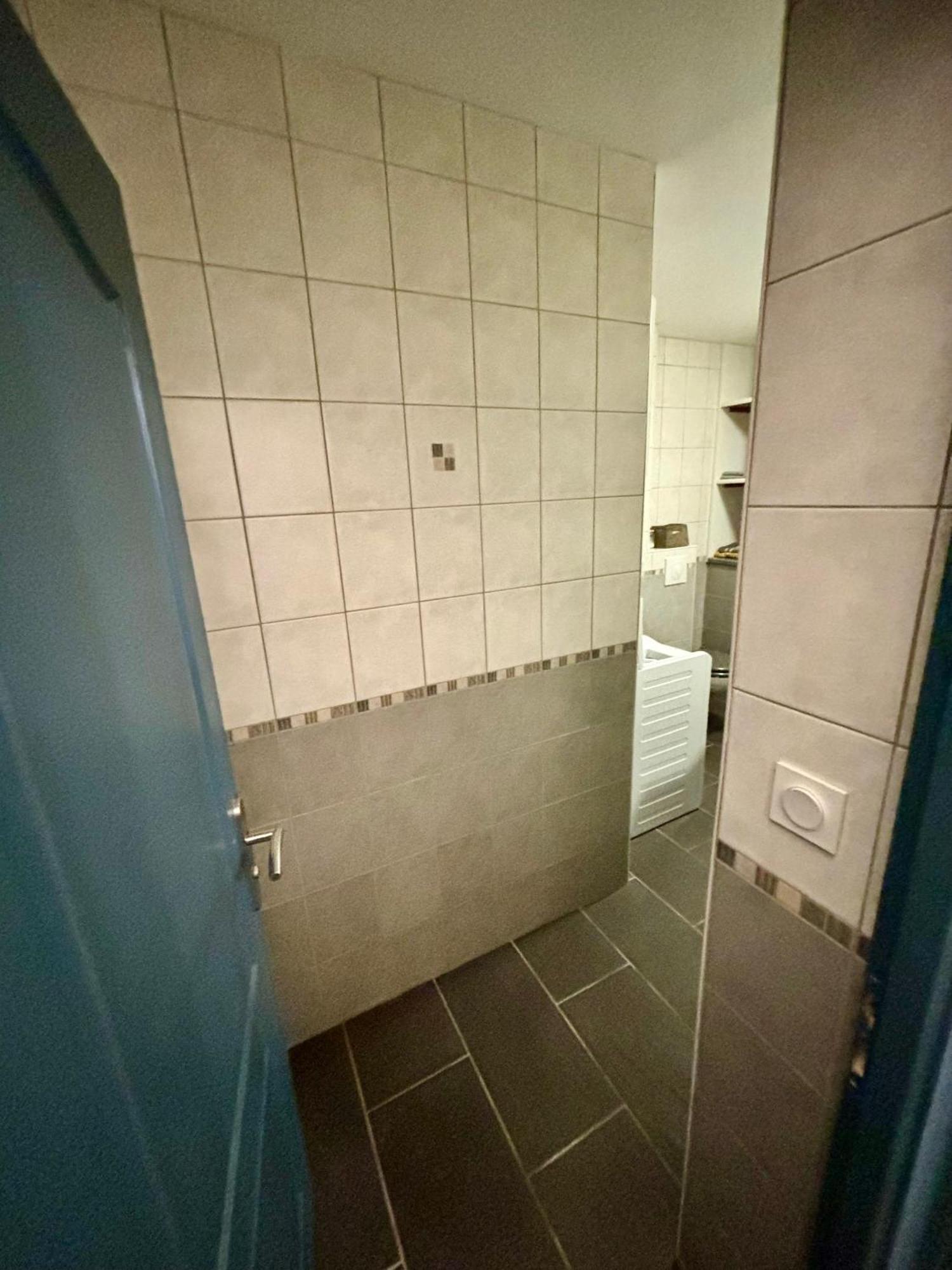 Studio - Baignoire - Pret De Vtt - Lave Linge Le Puy-en-Velay 外观 照片